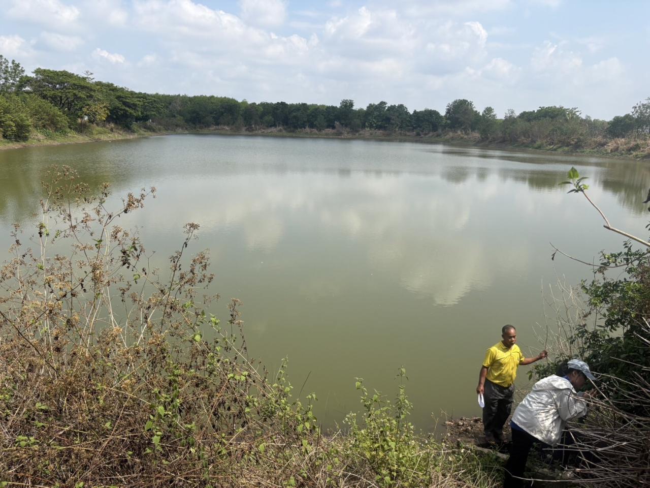 ภาพประกอบที่ 5