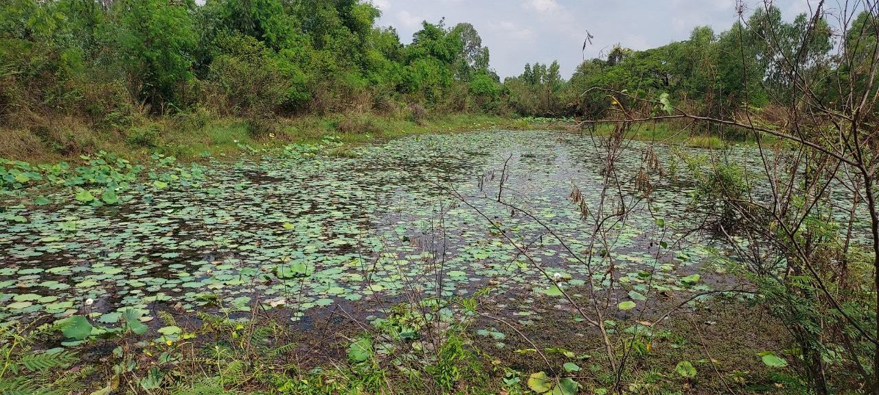 ภาพประกอบที่ 9