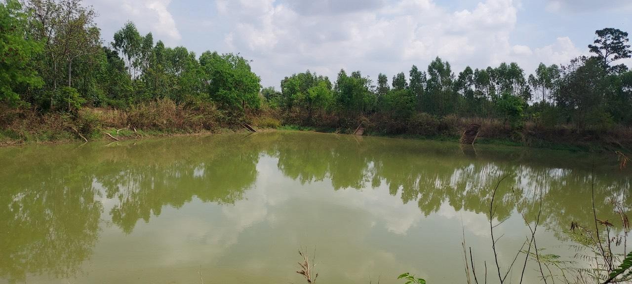 ภาพประกอบที่ 11