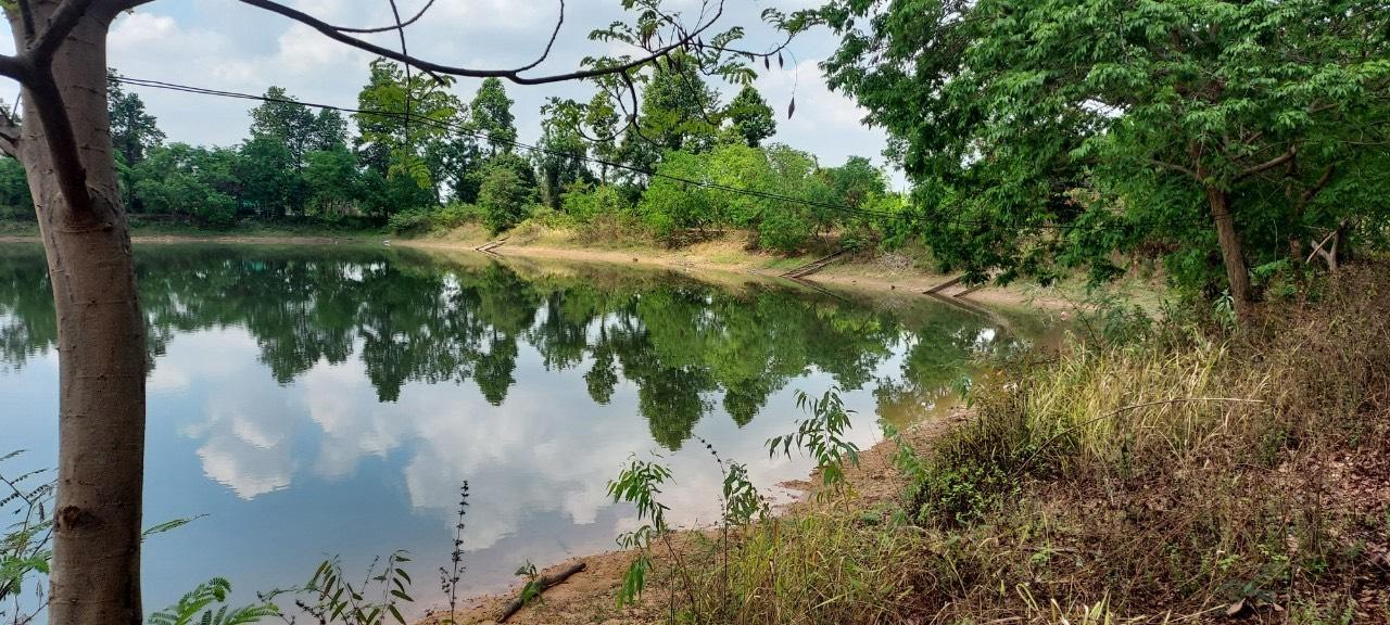 ภาพประกอบที่ 15