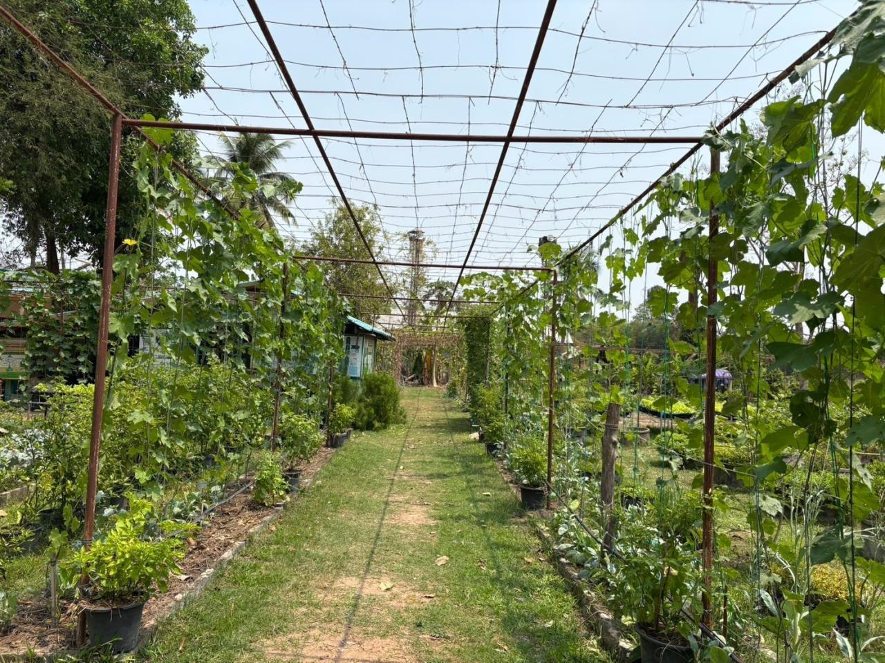 ภาพประกอบที่ 1