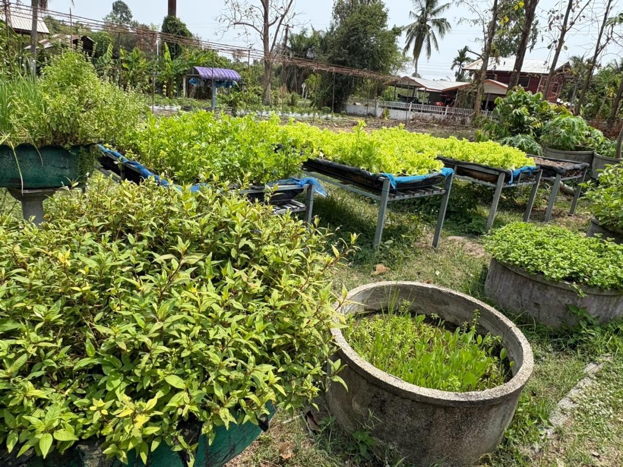 ภาพประกอบที่ 2