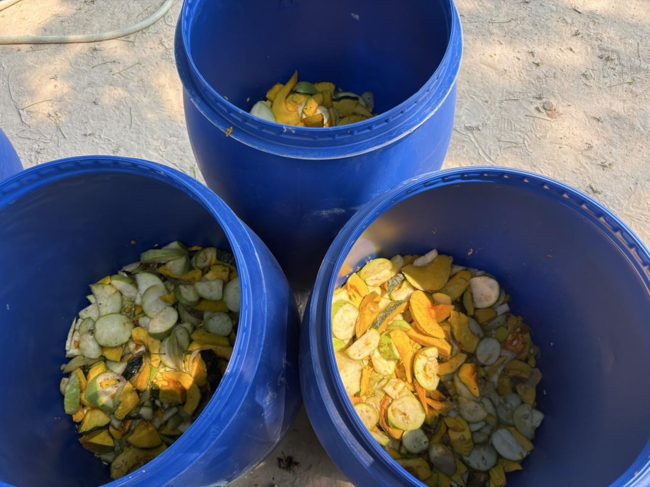 ภาพประกอบที่ 7