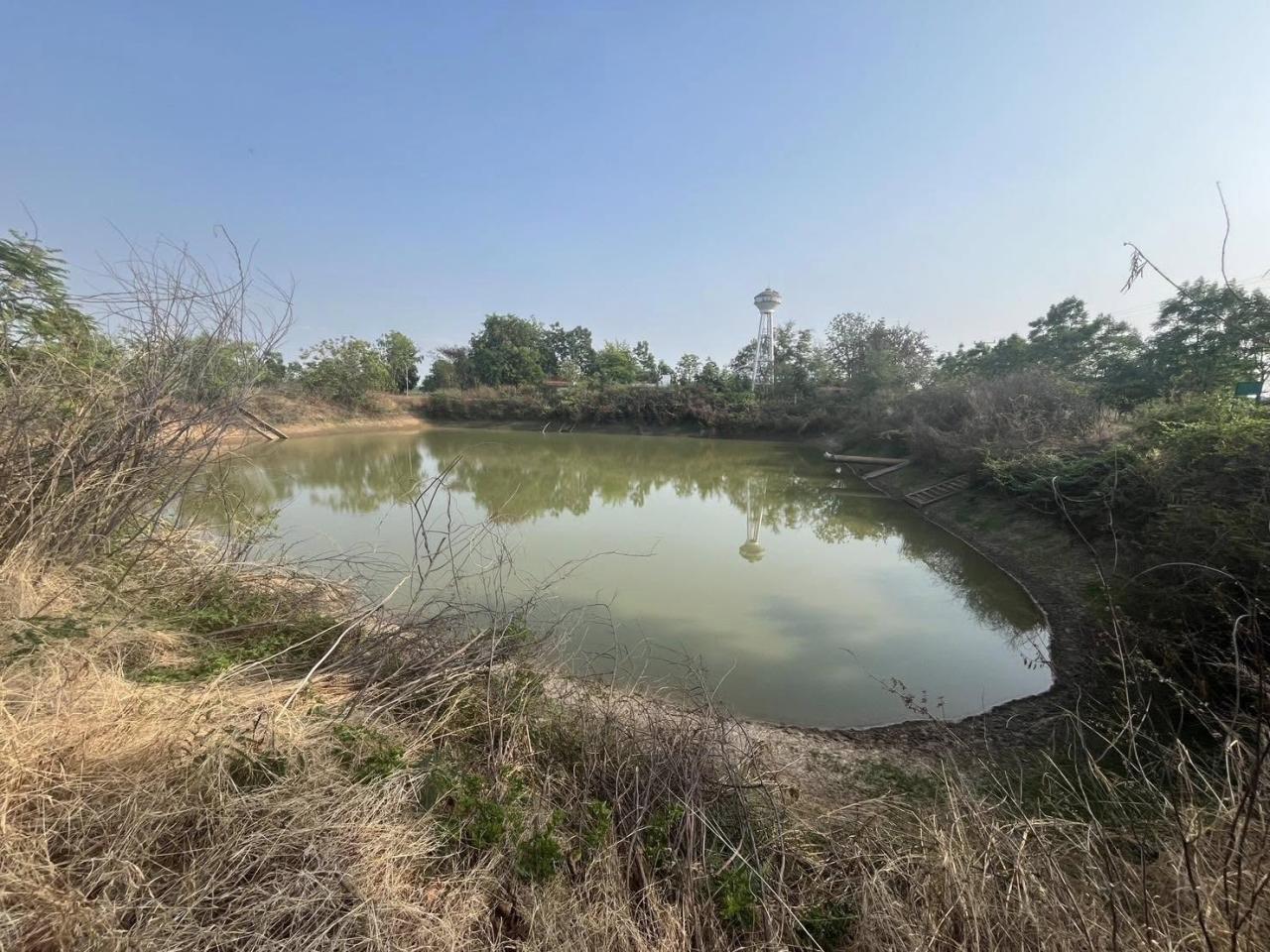 ภาพประกอบที่ 8