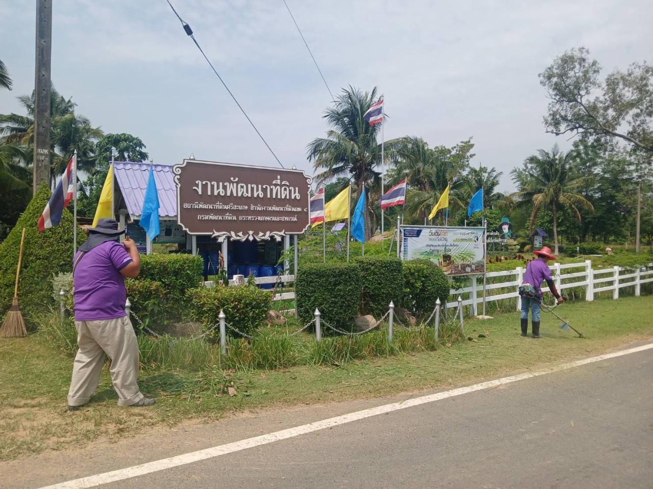 ภาพประกอบที่ 5