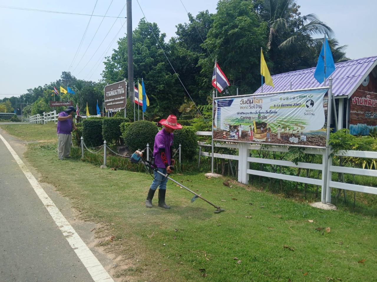 ภาพประกอบที่ 7