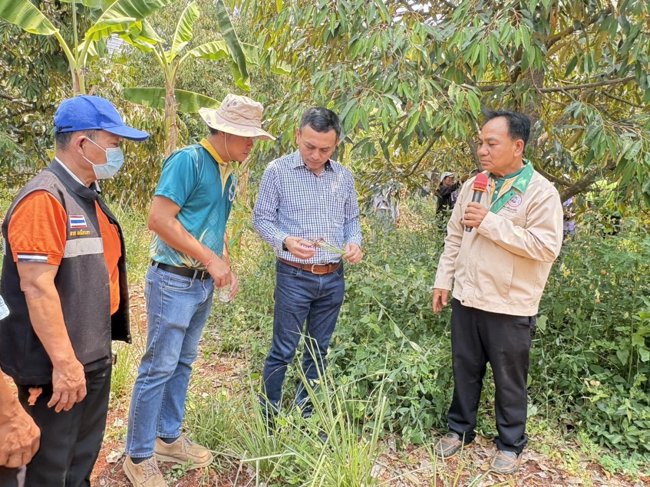 ภาพประกอบที่ 9