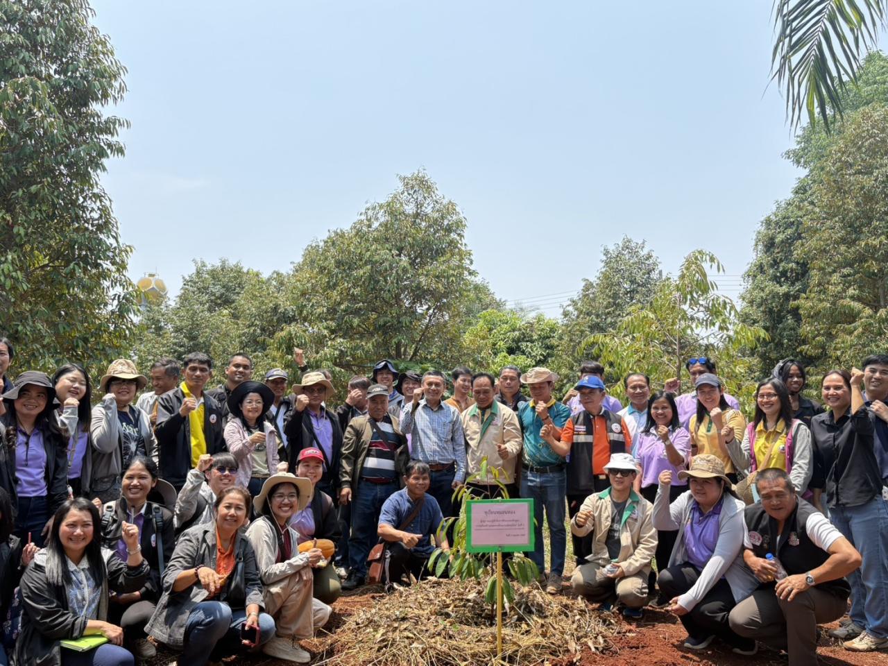 ภาพประกอบที่ 15