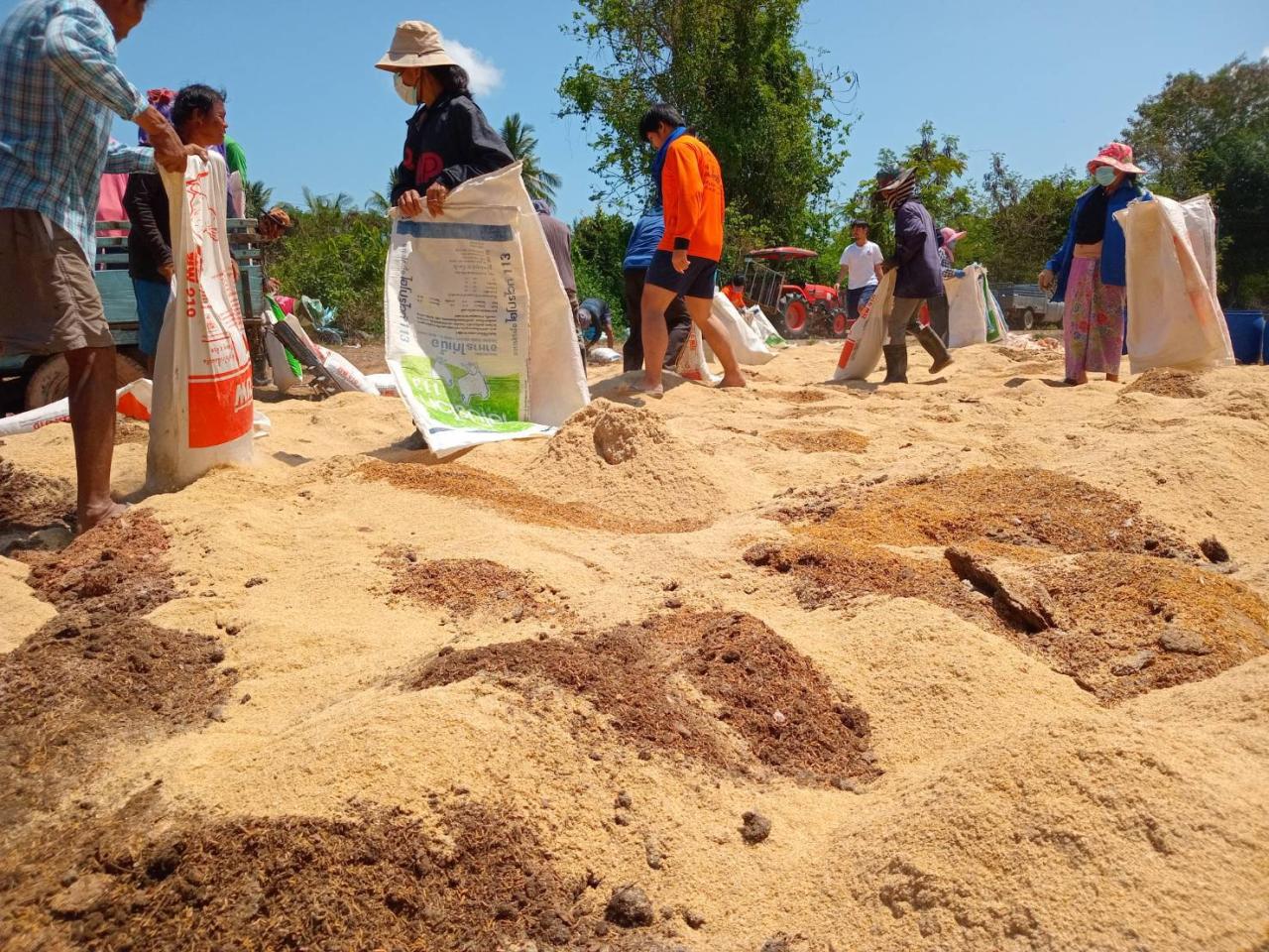 ภาพประกอบที่ 10