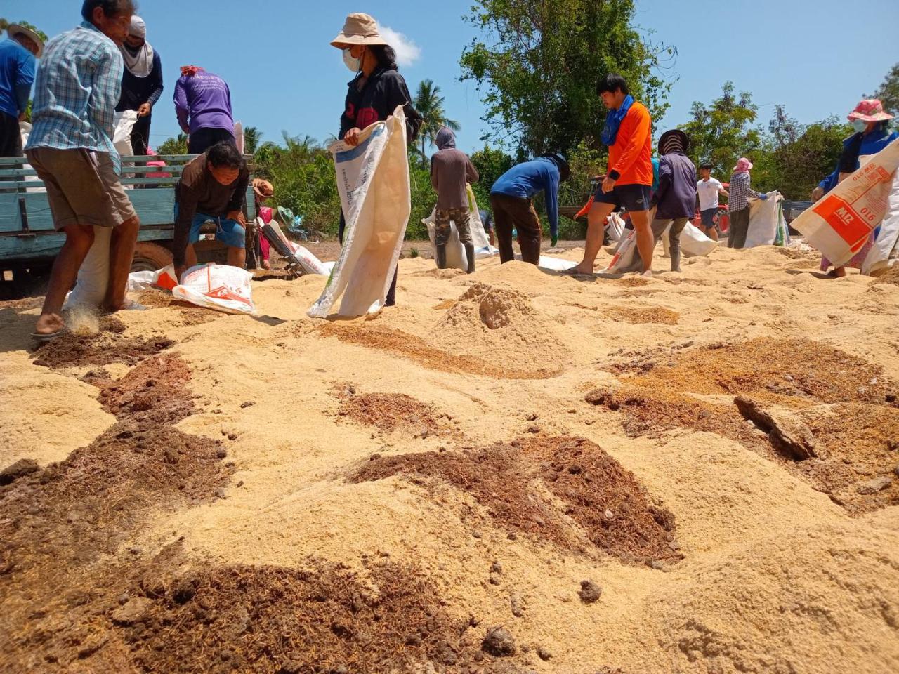 ภาพประกอบที่ 11