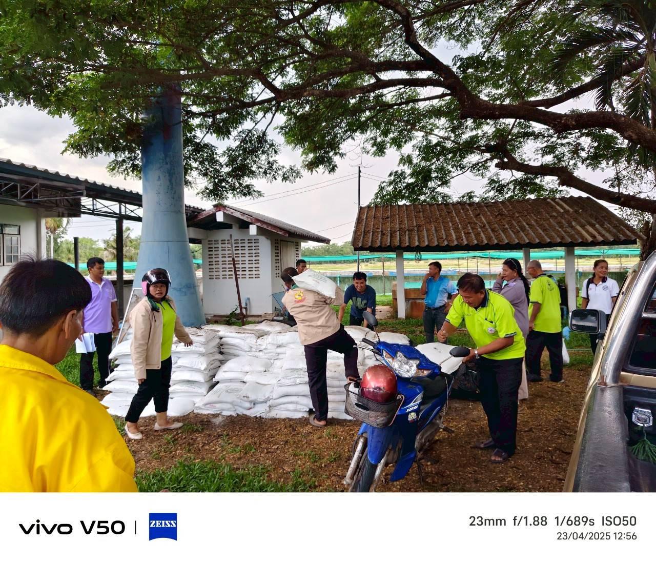 ภาพประกอบที่ 11