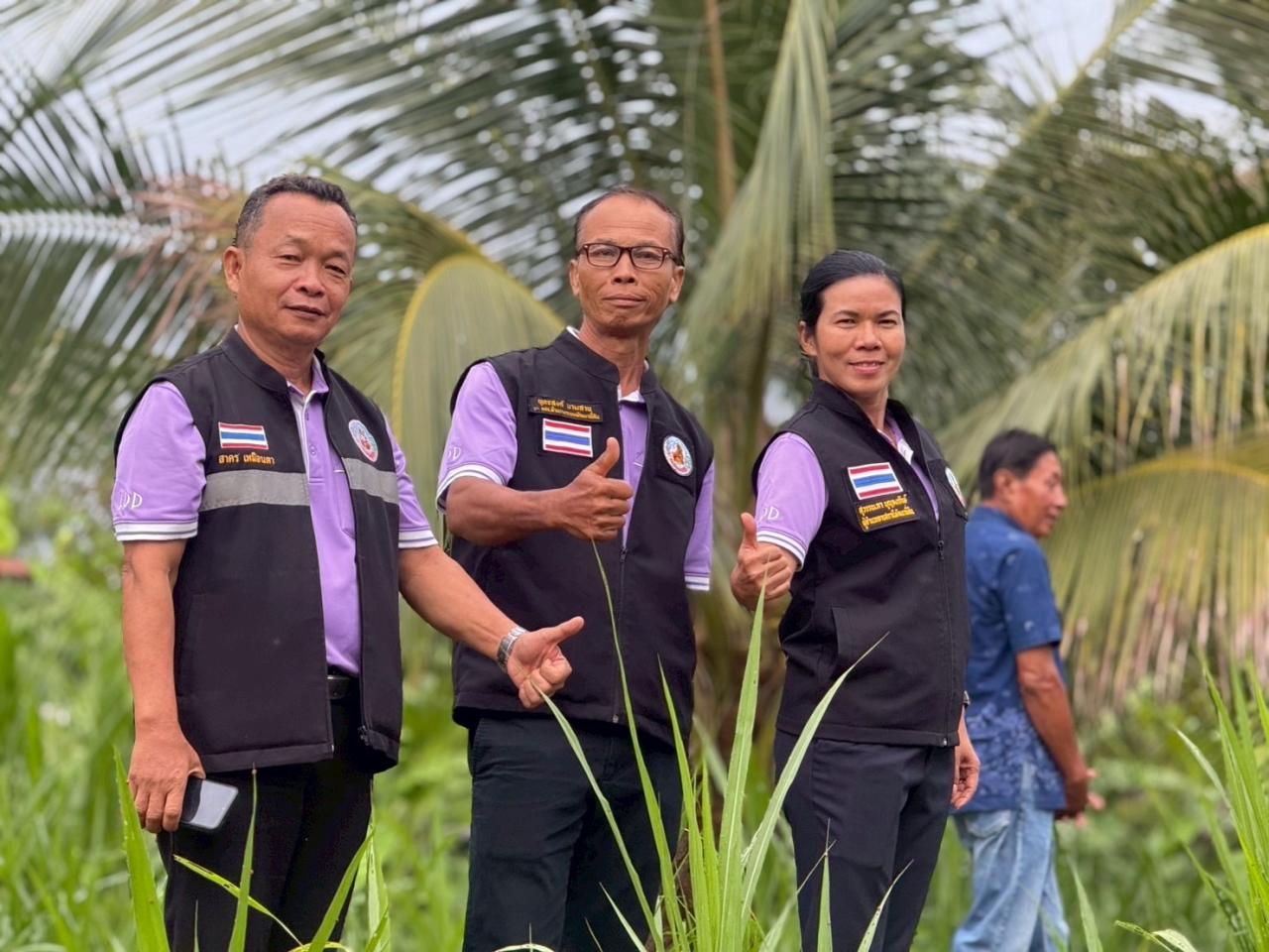 ภาพประกอบที่ 4