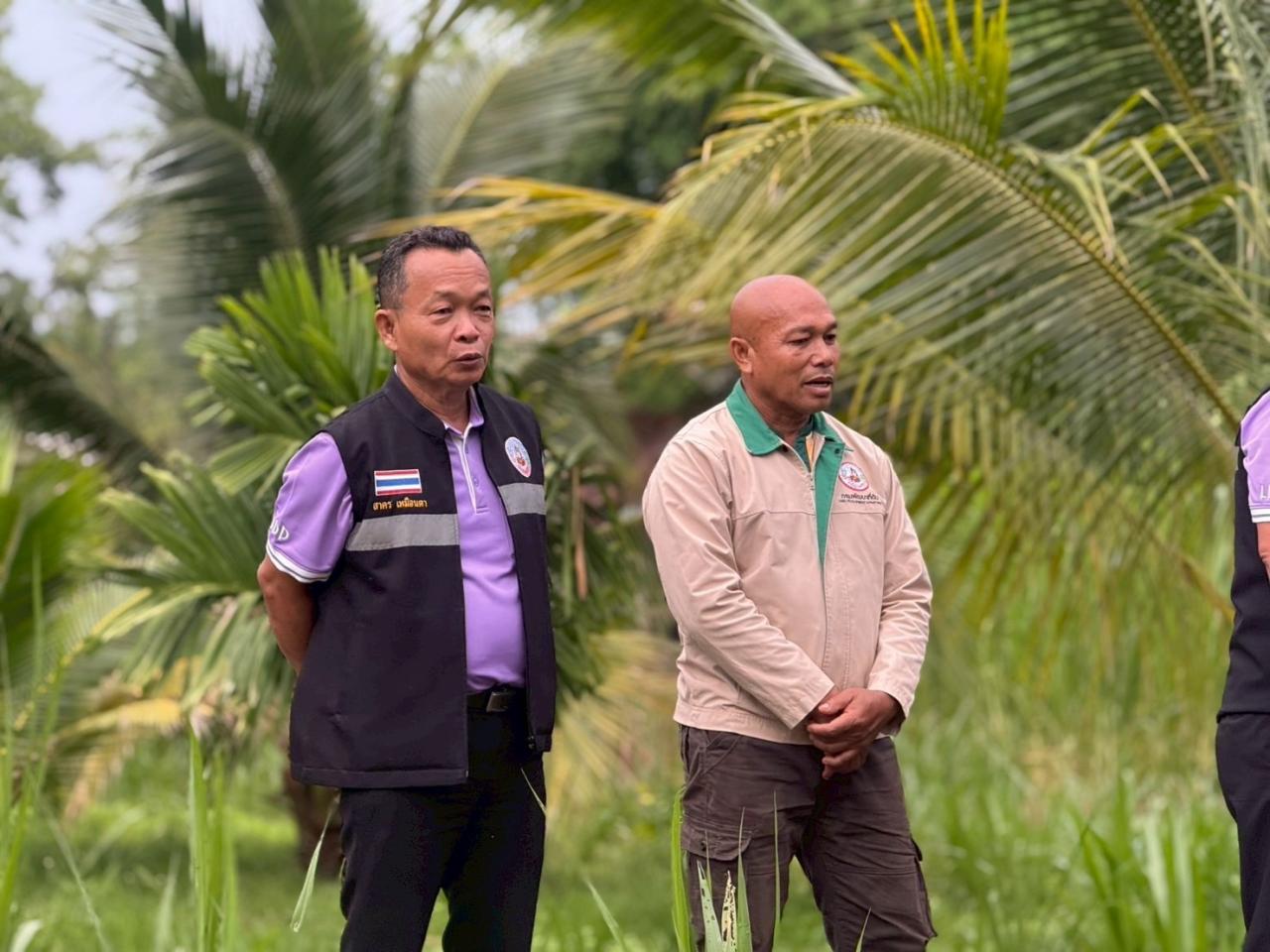 ภาพประกอบที่ 5