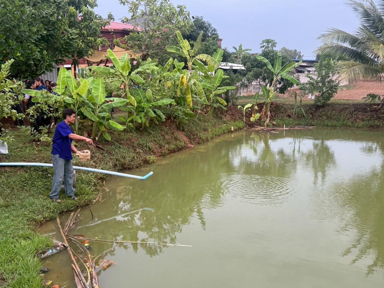 ภาพประกอบที่ 8