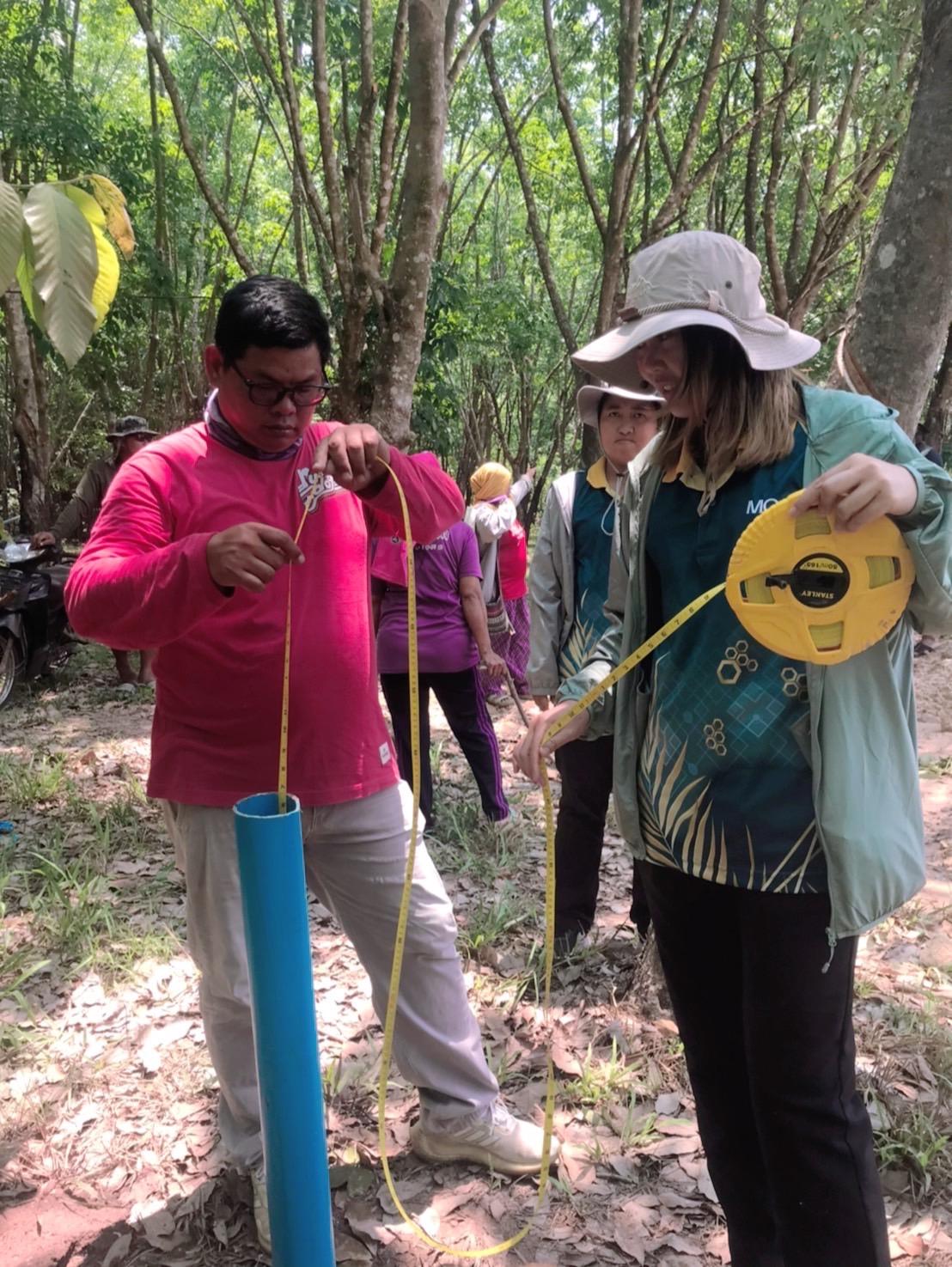 ภาพประกอบที่ 6