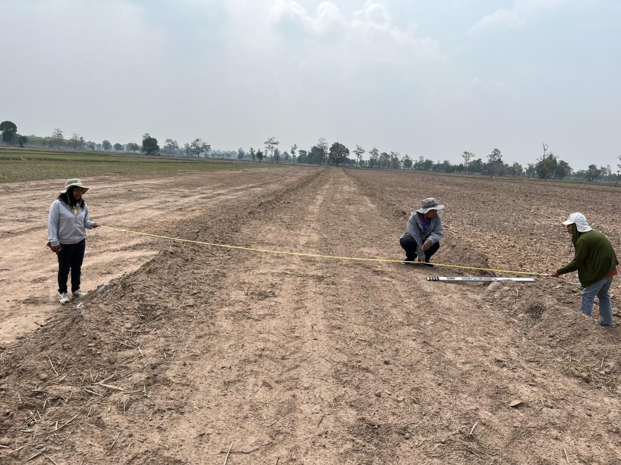 ภาพประกอบที่ 5
