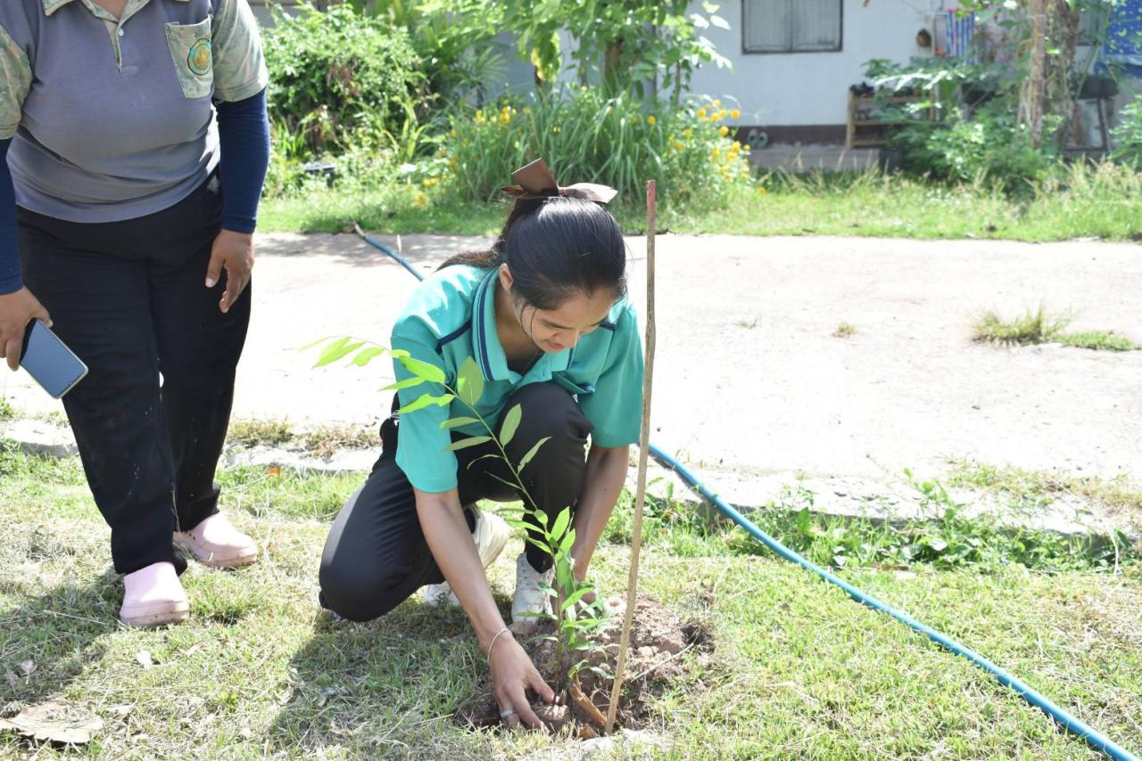 ภาพประกอบที่ 6