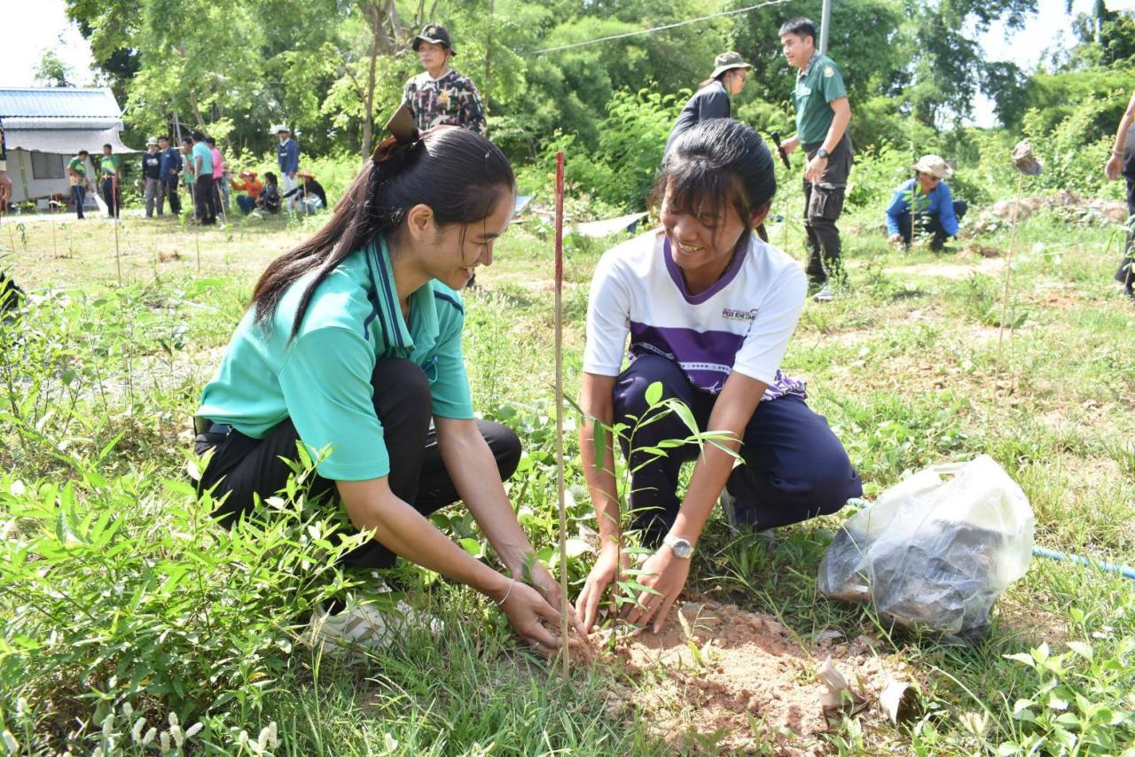 ภาพประกอบที่ 7