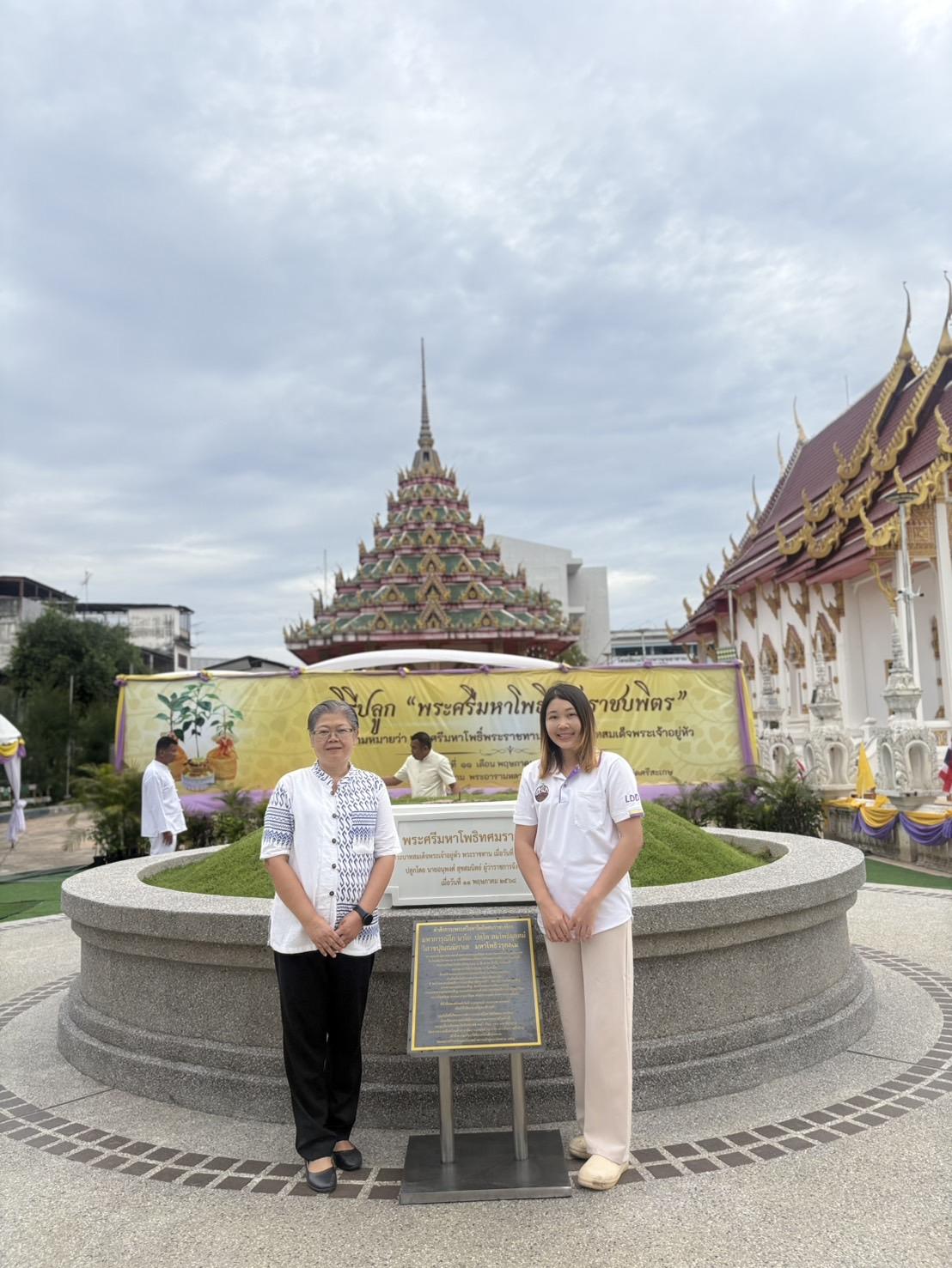 ภาพประกอบที่ 8