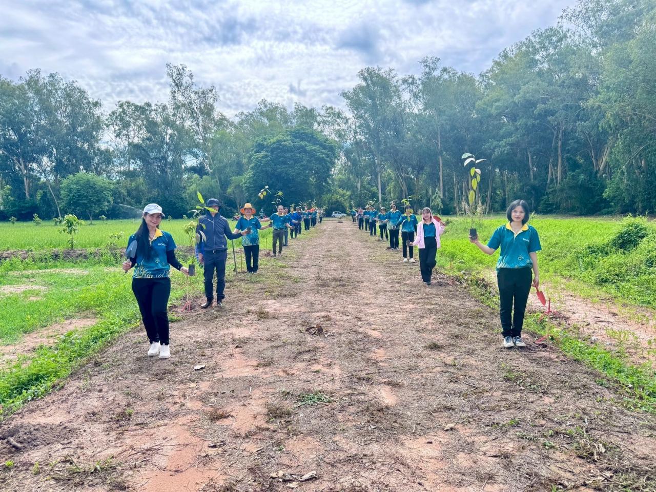 ภาพประกอบที่ 3