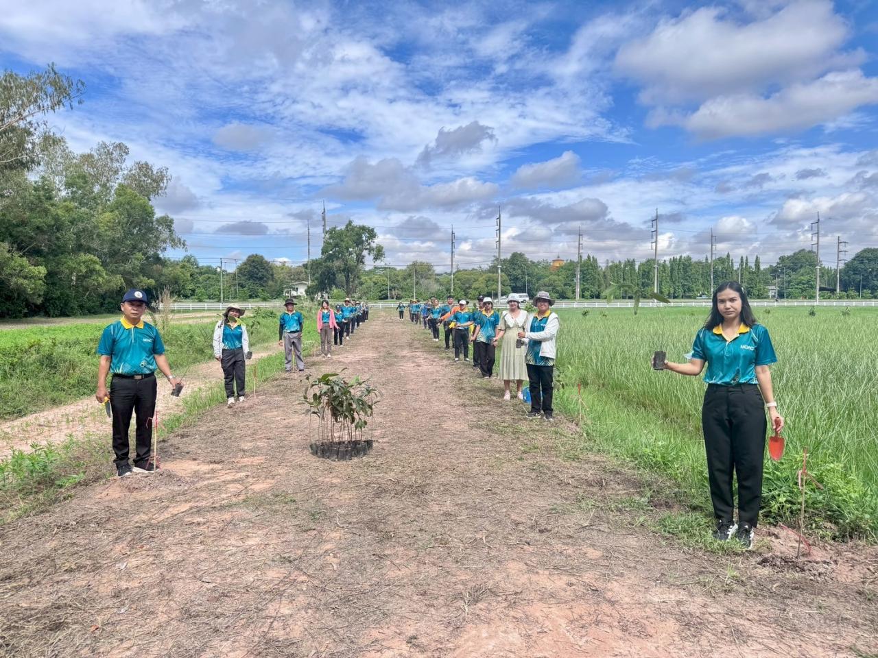 ภาพประกอบที่ 2