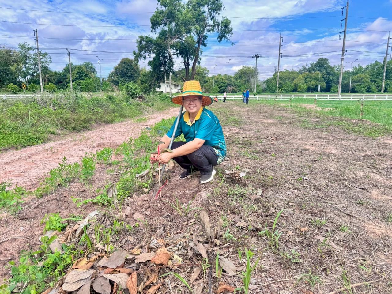 ภาพประกอบที่ 5