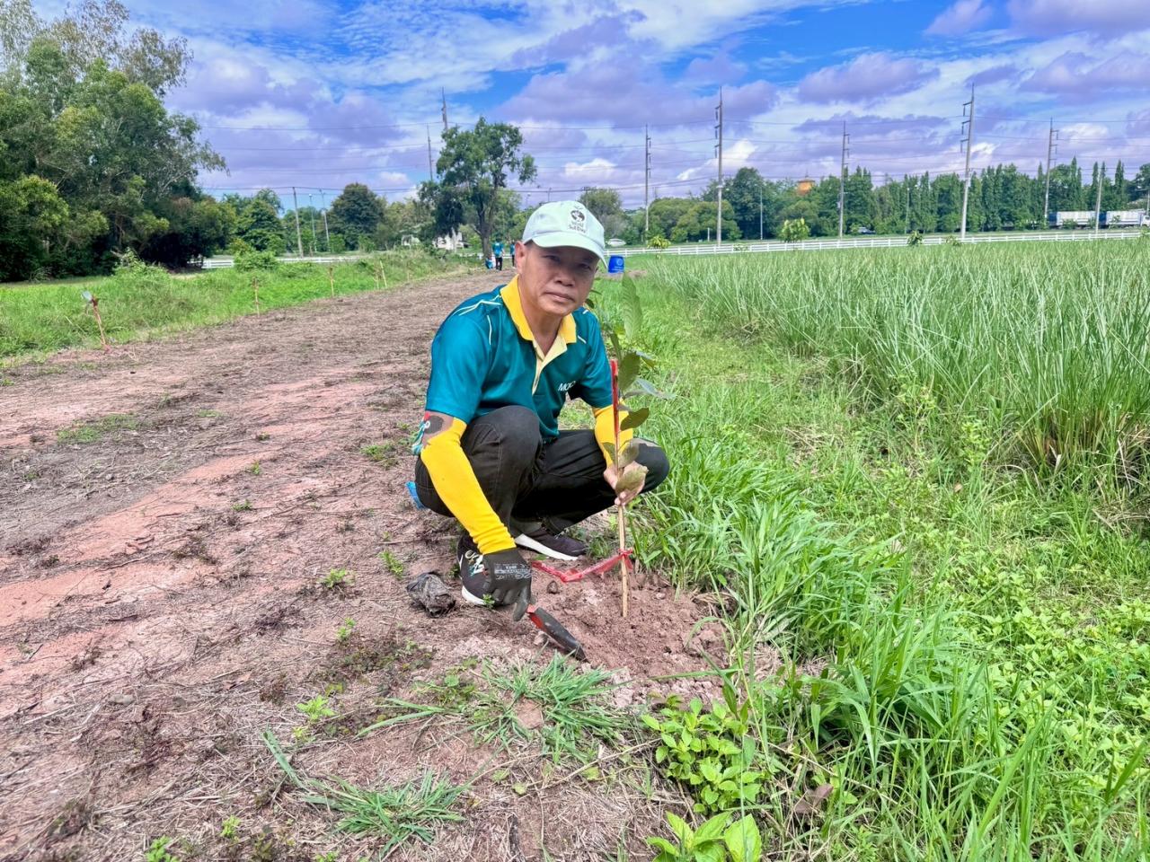ภาพประกอบที่ 6