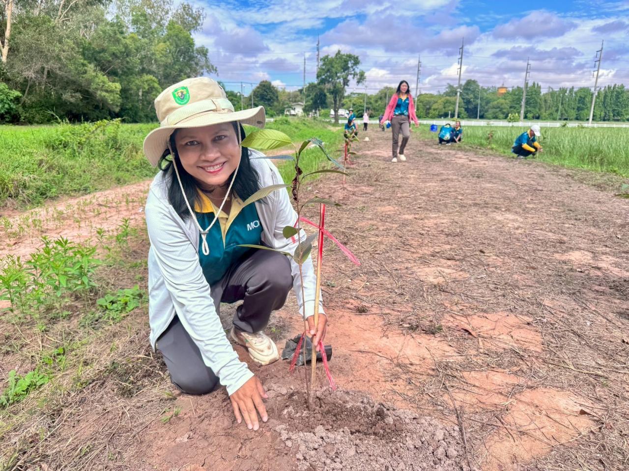 ภาพประกอบที่ 8