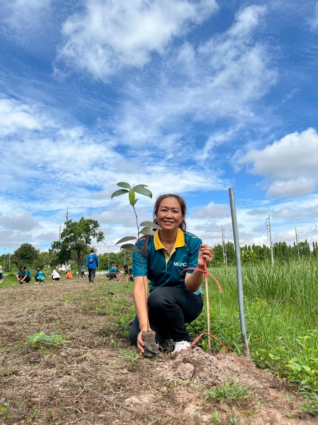 ภาพประกอบที่ 7