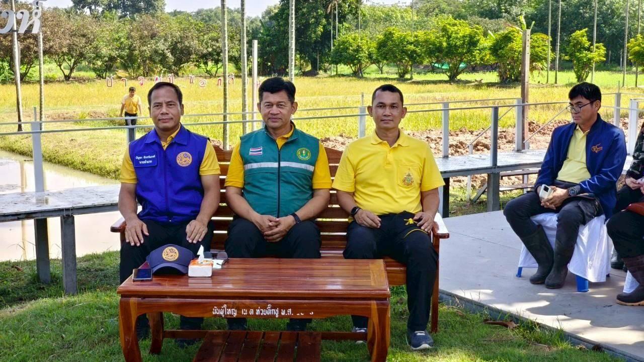 ภาพประกอบที่ 1