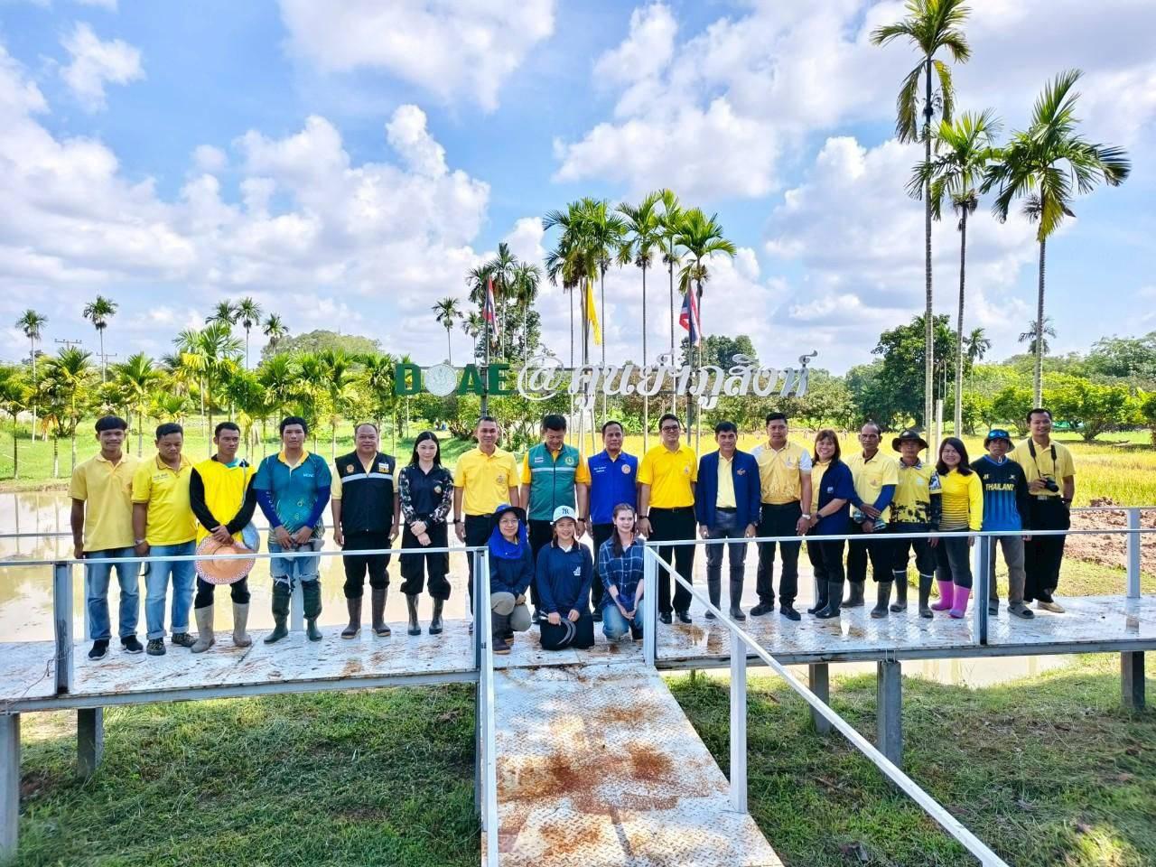 ภาพประกอบที่ 9