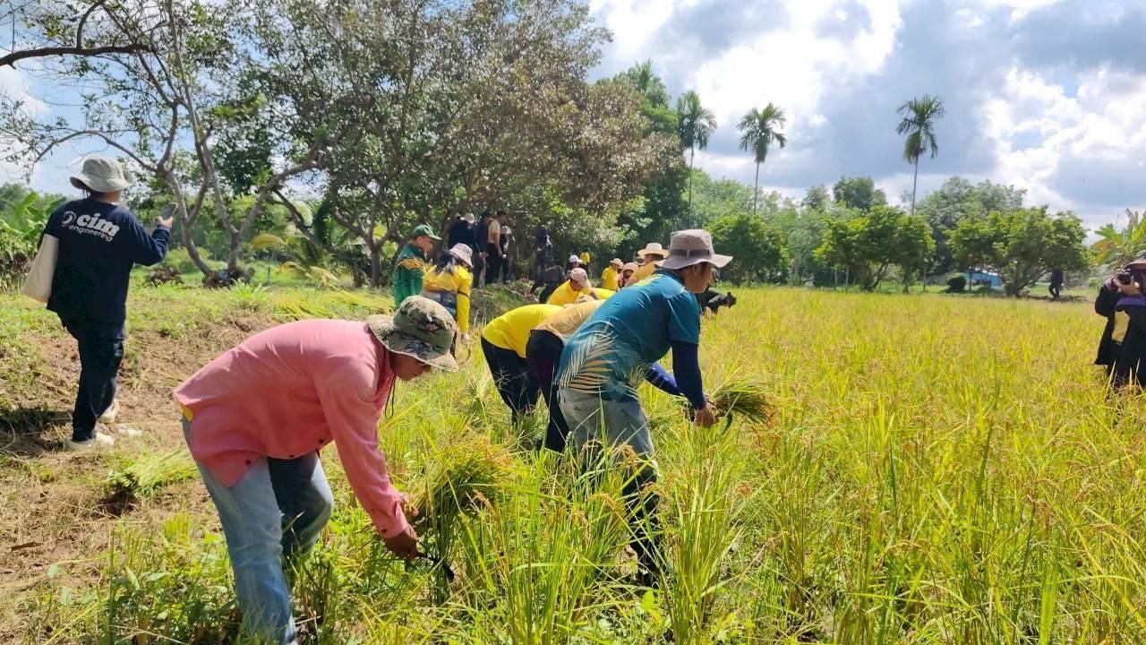 ภาพประกอบที่ 5