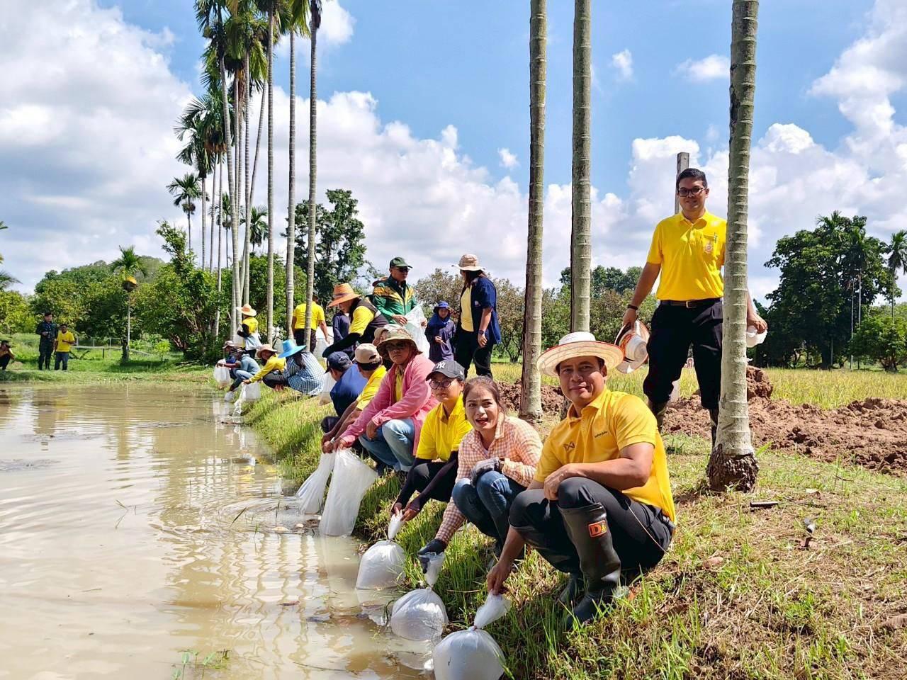 ภาพประกอบที่ 7