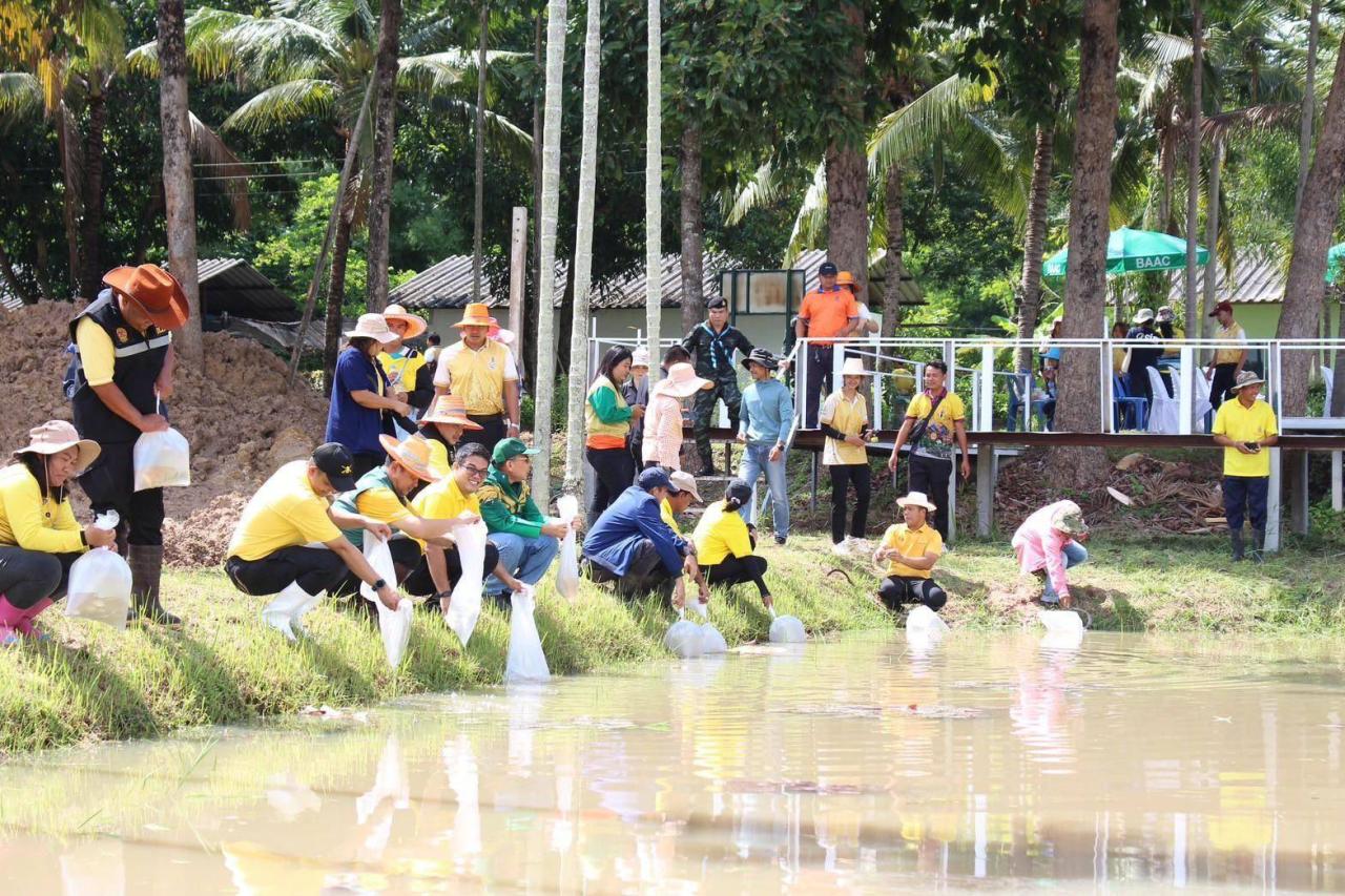 ภาพประกอบที่ 8