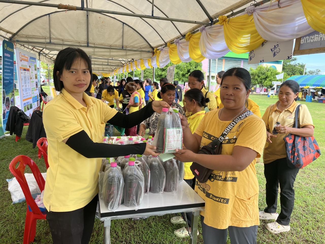 ภาพประกอบที่ 7