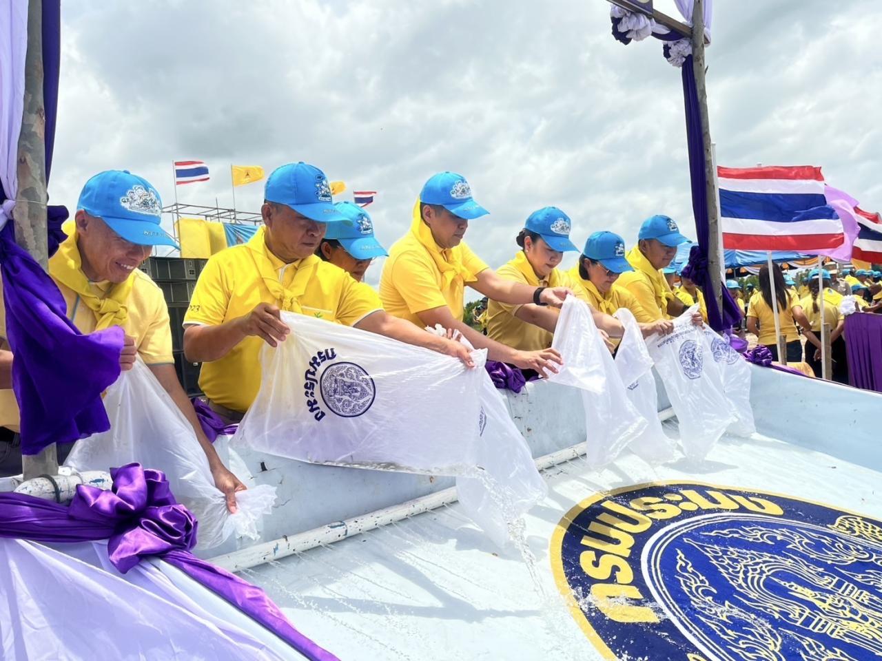 ภาพประกอบที่ 11