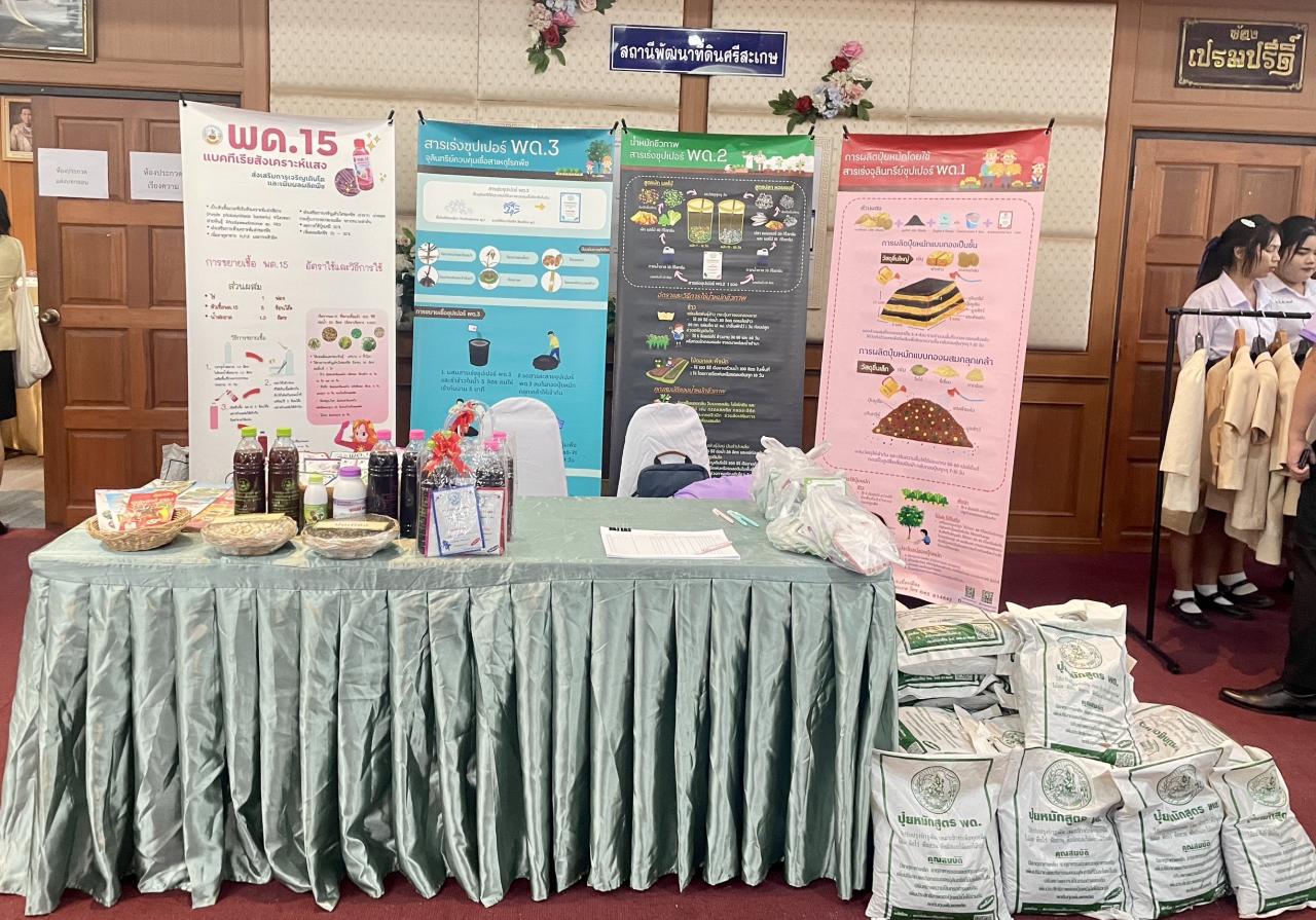 ภาพประกอบที่ 11