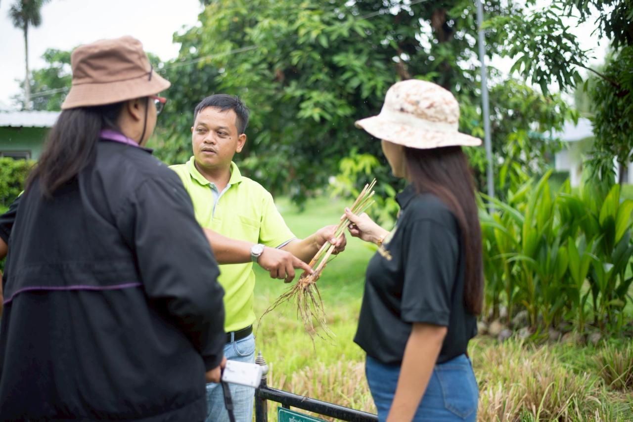 ภาพประกอบที่ 6