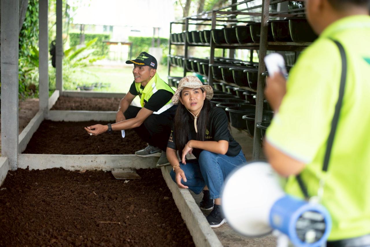 ภาพประกอบที่ 8
