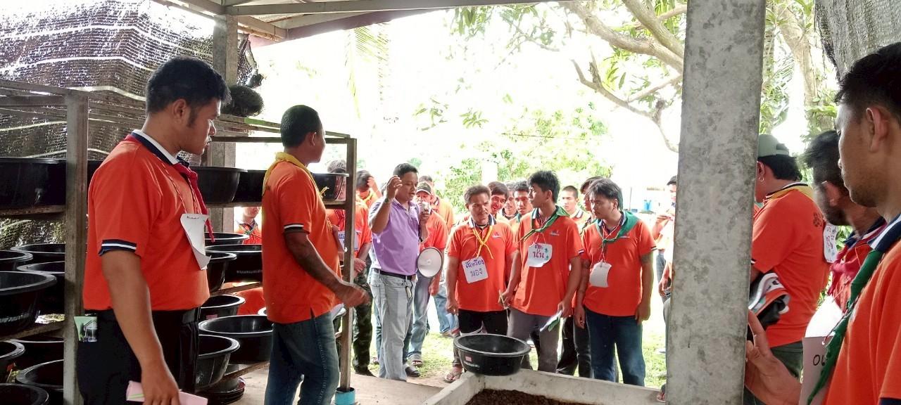 ภาพประกอบที่ 1