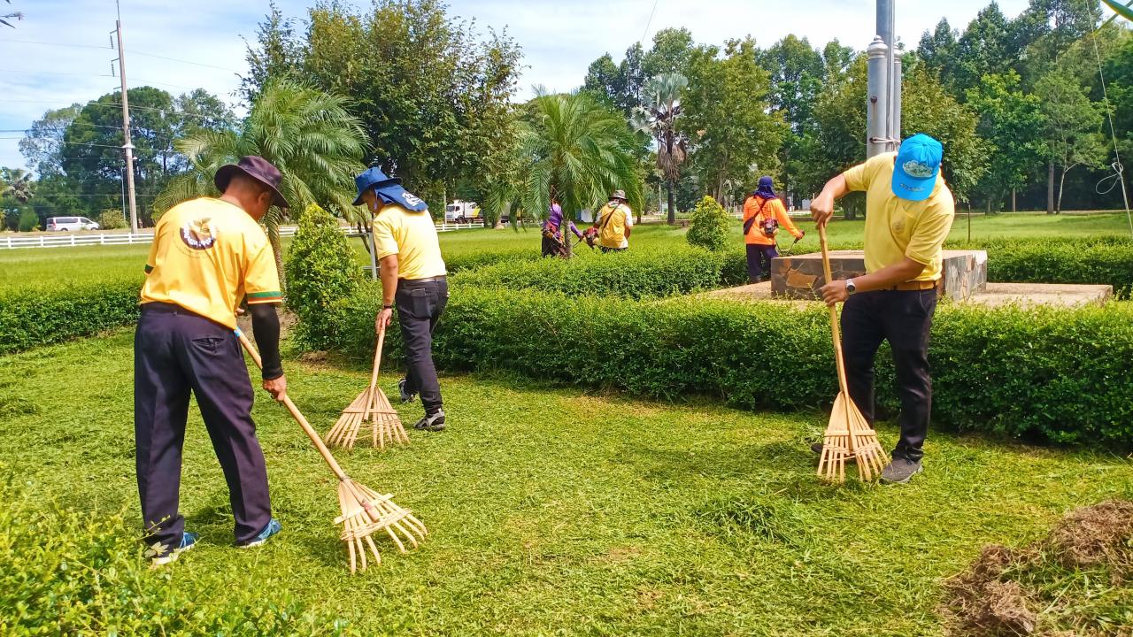 ภาพประกอบที่ 7
