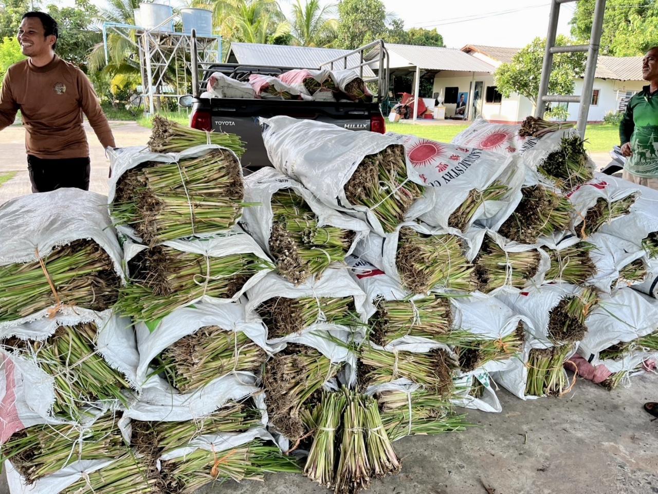 ภาพประกอบที่ 5