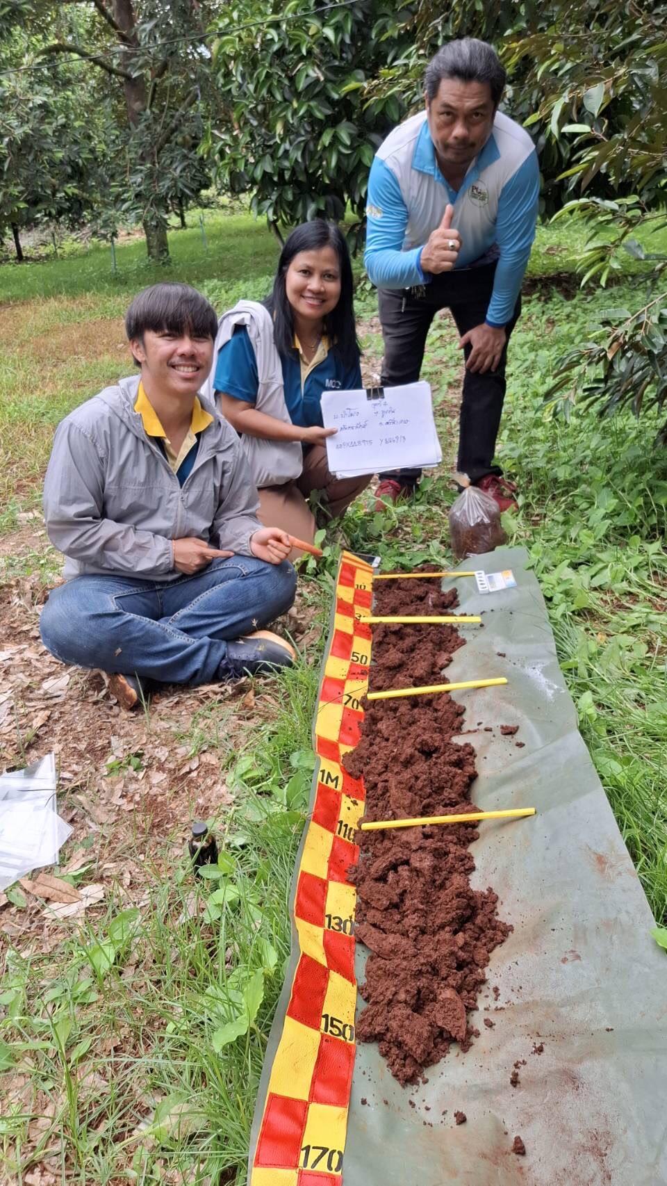 ภาพประกอบที่ 1