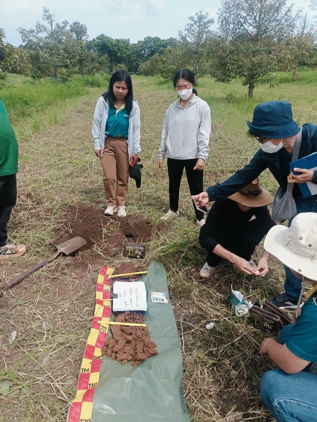 ภาพประกอบที่ 2