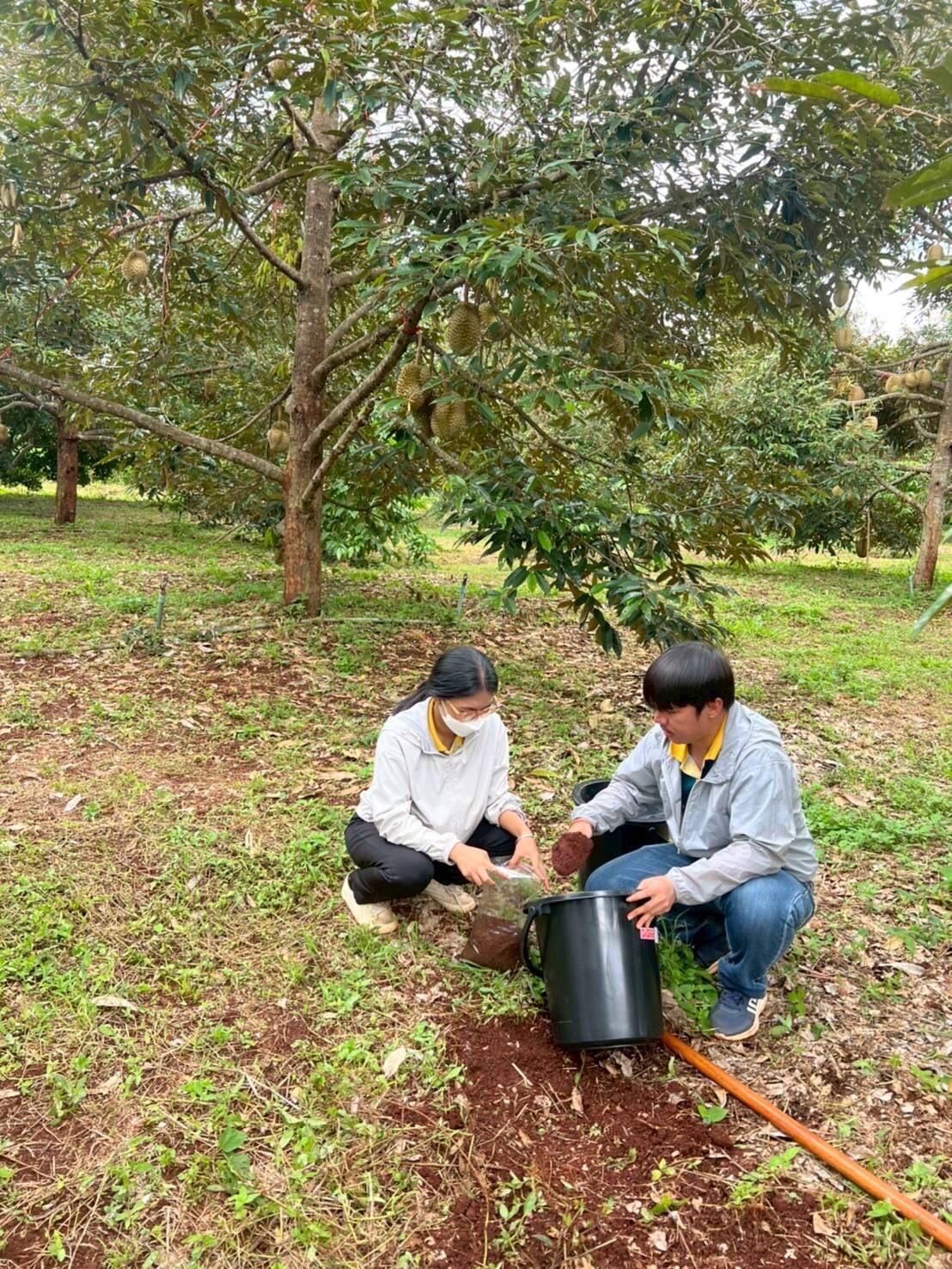 ภาพประกอบที่ 4