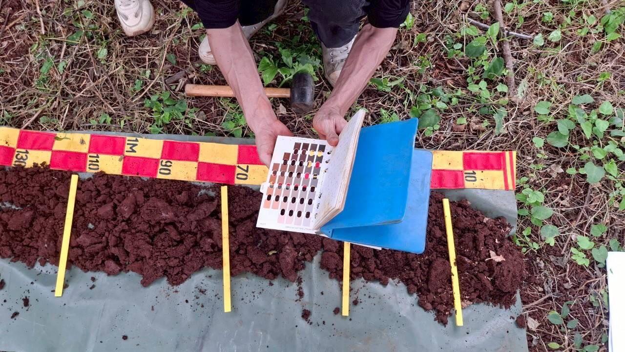 ภาพประกอบที่ 5