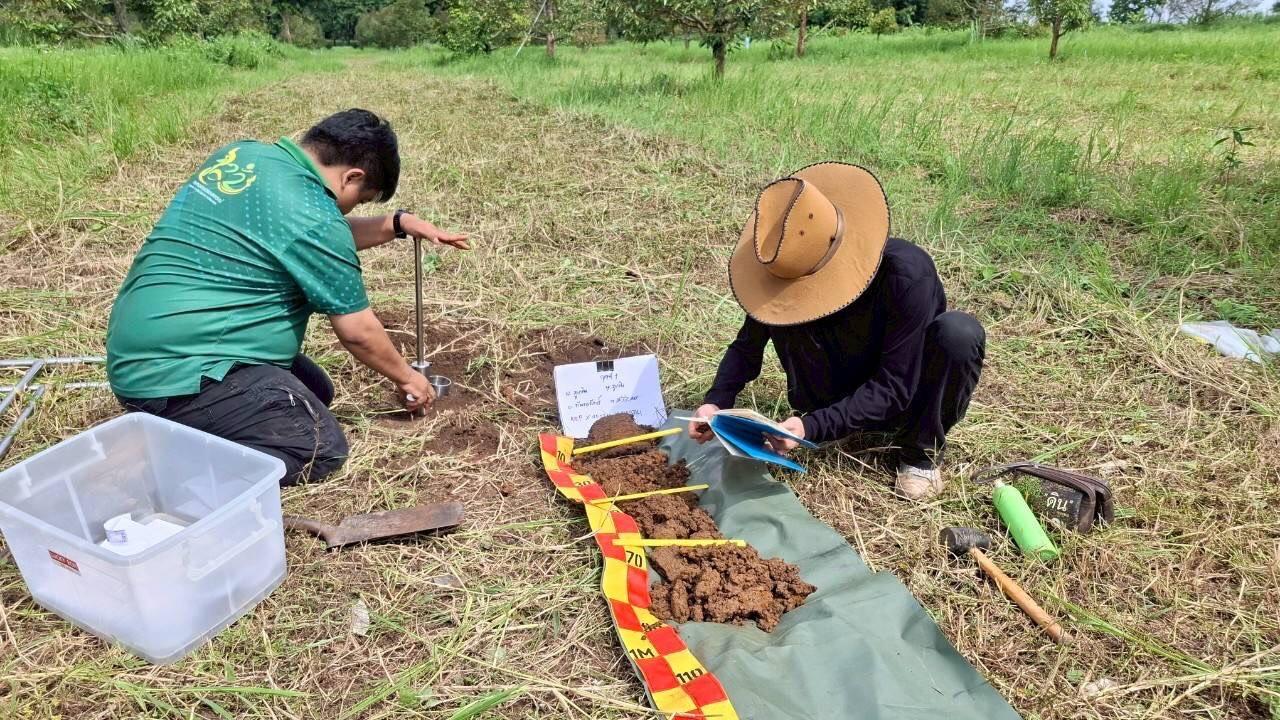 ภาพประกอบที่ 6