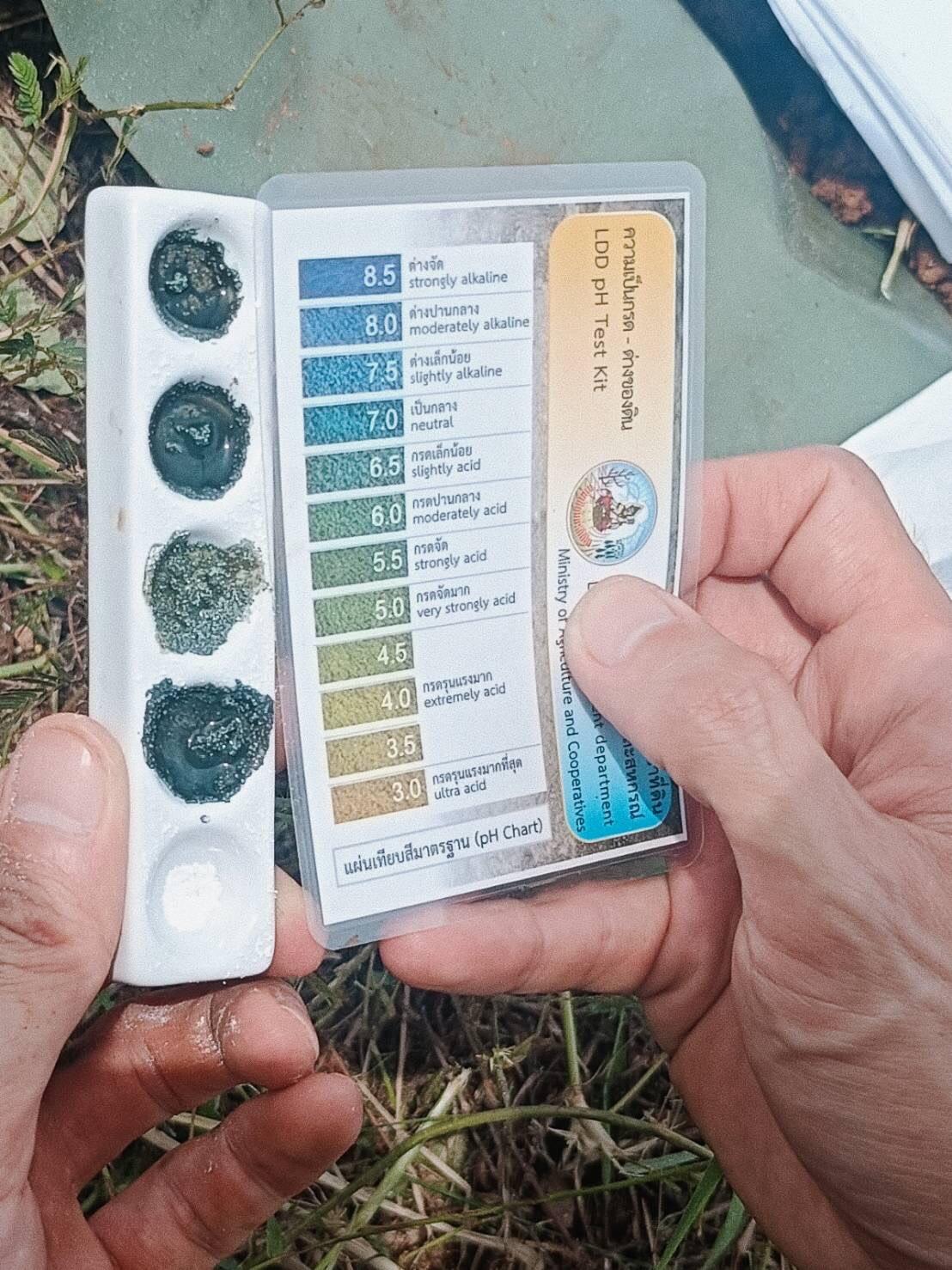 ภาพประกอบที่ 7