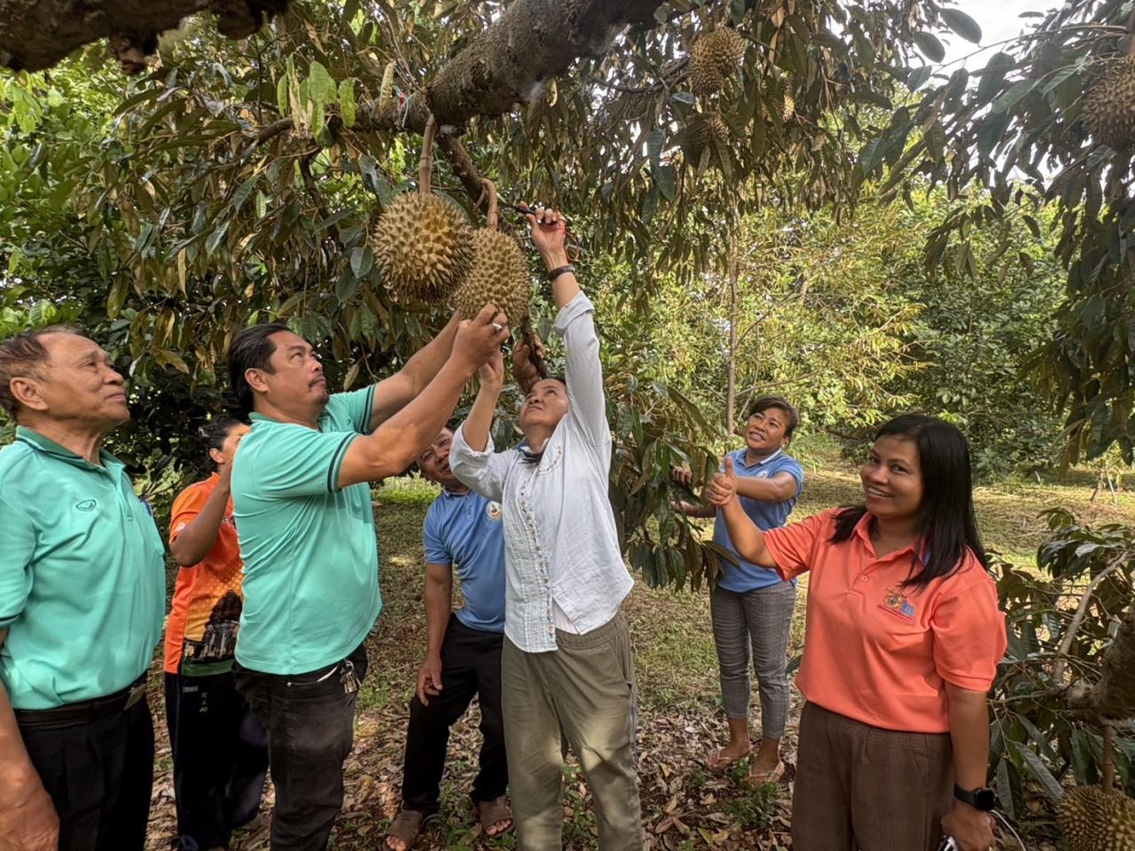 ภาพประกอบที่ 7