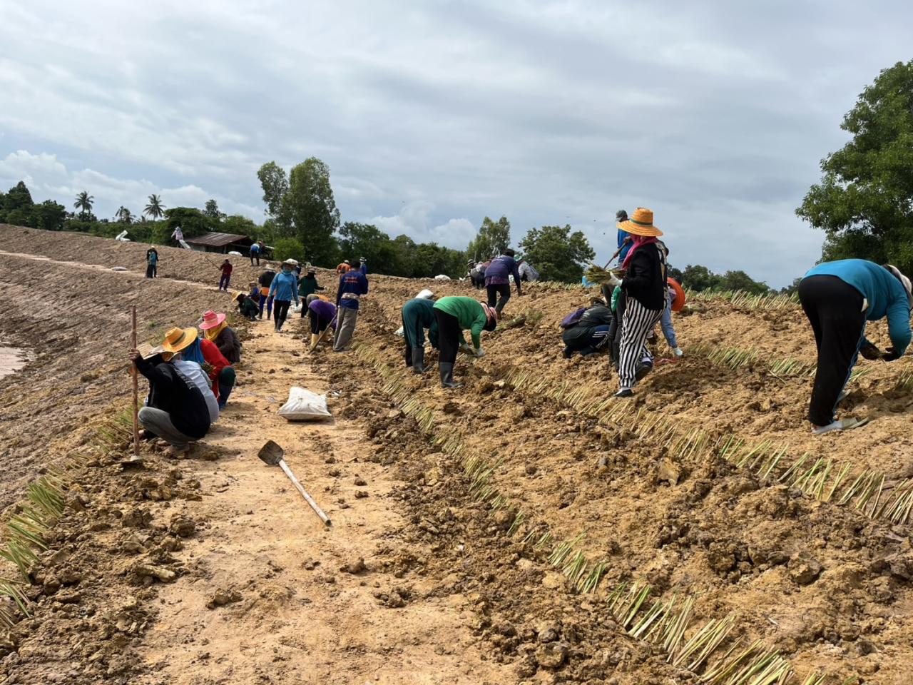 ภาพประกอบที่ 3